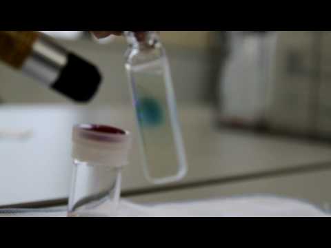 YouTube-Video-Thumbnail